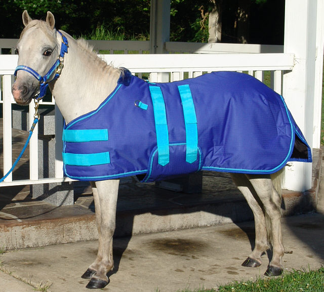 miniature horse clothing offered for sale mini horse sheet
