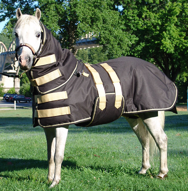 Miniature Horse Clothing Offered For Sale
