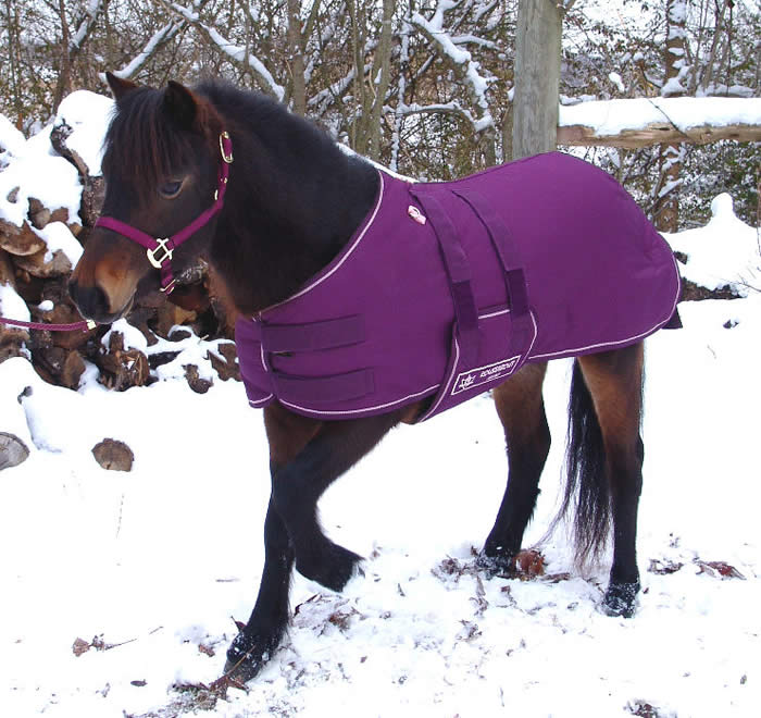 Miniature Horse Clothing Offered For Sale