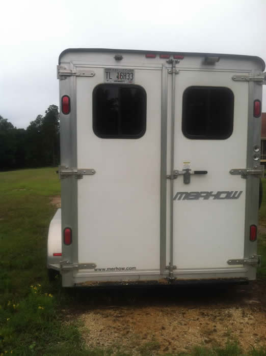 Miniature Horse Equipment for Sale