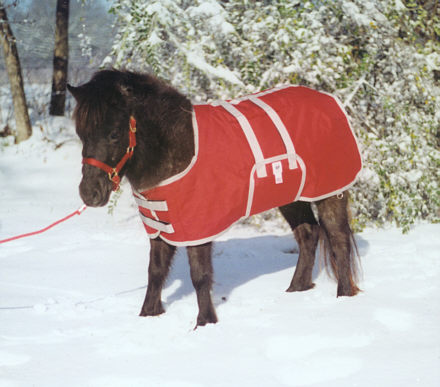 miniature horse clothing offered for sale horse winter blanket sizing chart