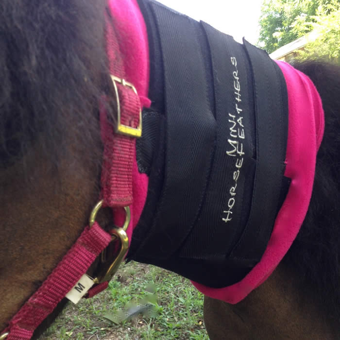 Show Equipment & Supplies from MiniHorseSales