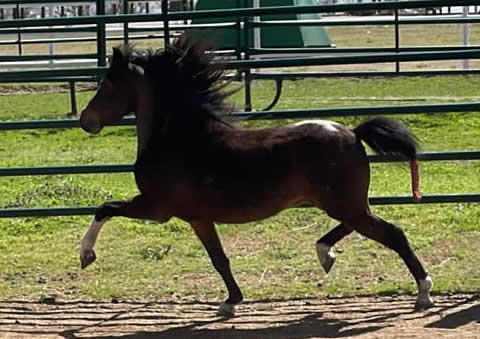 BAR NS HAVING FUN ALL WRONG