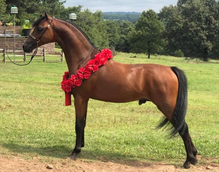 ERICAS FOR THE LOVE OF BEER